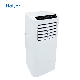 Good Price 5000BTU Mini Mobile AC Home Room Compressor Portable Air Conditioner