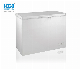  Commercial Freezer Single Door Chest Freezer 312L Model: Bd/Bc-312q