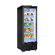 Supermarket Frozen Food Single Doors Upright Display Freezer Showcase