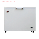  OEM SKD 64-300L12V/110V/220V Air-Cooled Controller Single Door Chest Freezer for Home