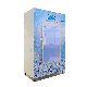  420 Liter Vertical Refrigerated Bin Lockable Ice Bagged Freezer