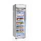  2022 New Single Door Vertical Glass Frozen Freezer