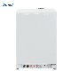 Gas Camping Fridge LPG Gas Refrigerator 110V/220V/12V Kerosene Refrigerator