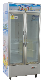 Double Glass Door Display Vertical Beer Chiller Showcase