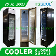 Slim Type Display Cooler for Supermarket & Store