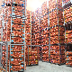 Industrial Logistics Fish Vegetable Fruit Seafood Onion Freezer Cold Room Storage