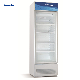  Smeta 280L Commercial Wall Display Drink Beverage Fruits Refrigerator