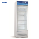 Smeta 280L Commercial Wall Display Drink Beverage Fruits Refrigerator