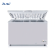 Mechanical Manual Defrost White Color Solar Type DC Chest Freezer