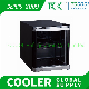 Hot Sale Hotel Home Mini Drinks Beverage Cooler Counter Top Mini Fridge with Glass Door