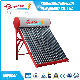 Compact Solar Water Heater with Heat Exchanger