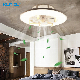 Smart APP Control Living Room Ceiling Fans with Light and Remote