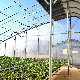  Multi-Span Film Greenhouse Film Po PE Film Plastic Transition