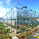  Film Glass Greenhouse with External/Internal Shading System Cooling/Heating System Cooling Fan/Pad Boiler