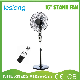 Hot-Selling Good Design Stand Fan Pedestal Fan with Remote Controller (FS40-A122Y)