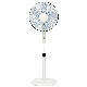 China New Design 3 Speed Oscillating Air Cooling Stand Fan