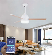  Ceiling Fan Light DC Fan Motor, Bluetooth APP Control