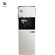 Vertical Compressor Cooling System Hot Cold Water Dispenser with Refrigerator