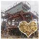 4, 6, 8, 10, 15, 20, 25 Tons Szw Biomass Rice Husk Fired Industrial Water Tube Horizontal Low Pressure Step Grate Steam Boiler with China or ASME Standard