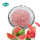 Organic Fresh Watermelon Fruit Freeze Dried Juice Flavour Powder Food Additive