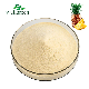 OEM Supply Bromelain Juice Extract Leaf Freeze Dried Fruit Fermented Concentrate Pineapple Powder