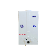 10L LPG Domestic Balanced Exhaust Propane Tankless Gas Water Heater