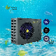  R32 Inverter Solar Source Swimming Pool Heat Pump Natural Swimming Pool Heater and Cooler Circulation Water Heating 2 Years