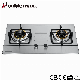  Household 2 Burner Built-in Natural Gas Liquefied Gas Stove