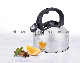 2.4qt Induction Ready Stainless Steel Whistling Tea Kettle with Black Handle