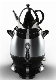 1L Top Teapot+4L Body Kettle Electric Kettle Samovars