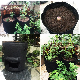 Plant Grow Bags Potato Planter Bag Dropshipping