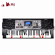 61 Keys Professional Music Keyboard Oriental Keyboard (EK61224) manufacturer