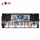 61 Keys Professional Music Keyboard Oriental Keyboard (EK61224)