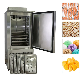 Commercial Chicken Meat Shock Freezer Blast Chiller