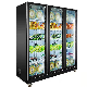  Fan Cooling Fruits Vegetables Commercial Refrigerator Freezer for Sale