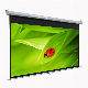 Manual Projector Screen with Factory Price