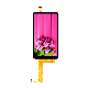 5.5 Inch 720X1280 Pixels TFT/IPS RGB LCD Screen Display TFT LCD Touch Screen