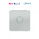 Intelligent Customized White Control Touch Switch Glass Panel for Smart Automation