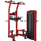  Top Quality Red Devil Ls-Rd15 Sports Fitness Equipment for Assist DIP Chin