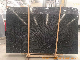 Quality Wood/Black/Grey/Green Forest Marble for Flooring/Wall/Background/Countertops 2cm Slabs Wholesale