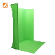 Screen Backdrop Portable Image Video Matting Screen Blue/Green