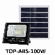  Solar Flood Light 100W