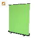 Image Matting Portable Photo Studio Retractable Floor Standing Flex Projector Background Green Screen Roll up for Photography Live Show Screen Backdrop