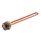 Thermoer Screw-Type Brass Threaded Flange Copper Immersion Heating Element for Water Heater Tank