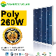  Polycrystalline 250W 260W 270W 280W PV Solar Panel Cost Per Watt