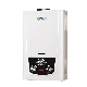 Fd1205 China Factory 10L Wall Mounted Natural Gas Water Heater