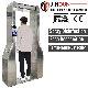 Infrared Induction Disinfectant Fog Spray Disinfection Tunnel Access Control