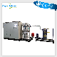 Ozone Generator 300g Ozone Generator Industrial Ozone Generator for Drinking Water Disinfection