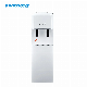 New Design Water Dispenser/Floor Standing Hot and Cold Water Dispenser / Compressor Vertical Water Dispenser / Filter / Water Cooler/Water Filter/Water Purifier