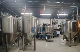  300L Steel Electric Heating Two Vessel Brewhouse Small Brewery Equipment Brew System